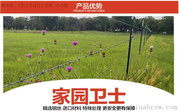 刺绳护栏网