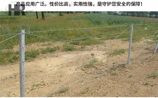 刺绳15_副本.jpg
