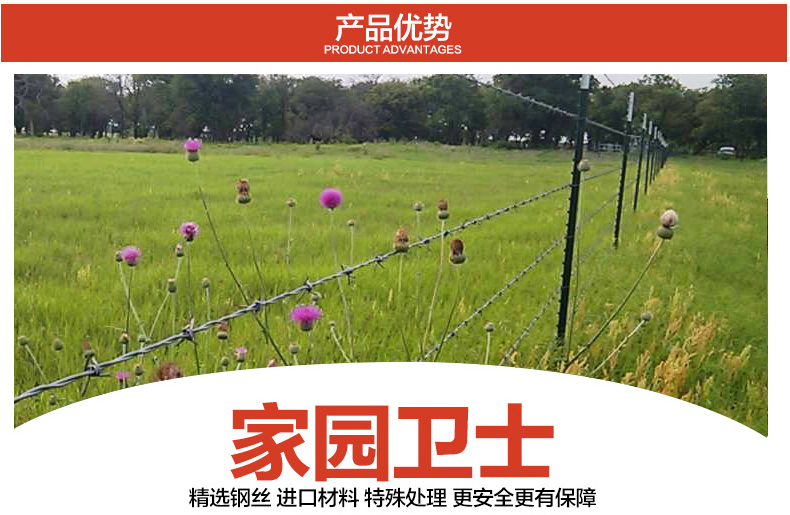 刺绳1.jpg